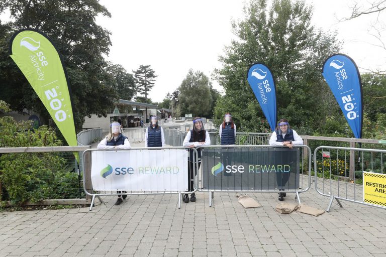 SSE Airtircity Dublin Zoo Branded Signage