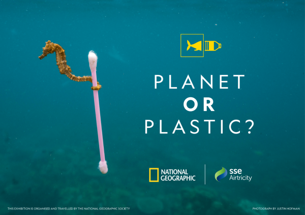SSE - Planet Ripple Marketing